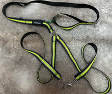 Ladda upp bild till gallerivisning, Två hundars koppel