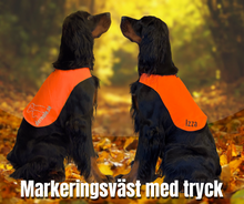 Ladda upp bild till gallerivisning, Markeringsväst