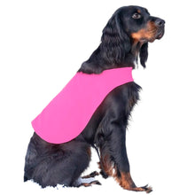 Ladda upp bild till gallerivisning, Markeringsväst