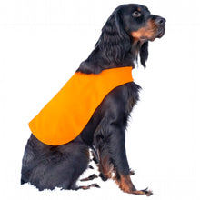 Ladda upp bild till gallerivisning, Markeringsväst