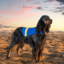 Ladda upp bild till gallerivisning, Landväst