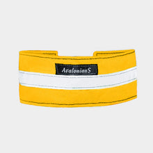 Ladda upp bild till gallerivisning, Markeringshalsband