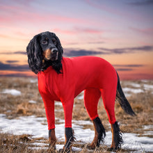 Ladda upp bild till gallerivisning, Overall