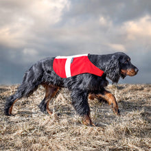 Ladda upp bild till gallerivisning, Landväst