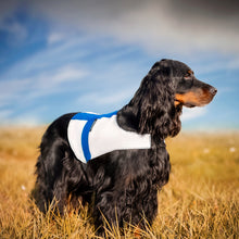 Ladda upp bild till gallerivisning, Landväst