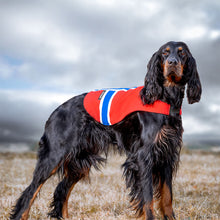 Ladda upp bild till gallerivisning, Landväst