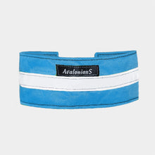 Ladda upp bild till gallerivisning, Markeringshalsband