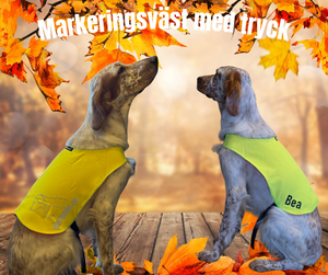 Markeringsväst