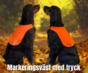 Markeringsväst