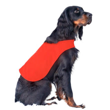 Ladda upp bild till gallerivisning, Markeringsväst
